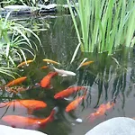 Exotic 아파트 오스트라바