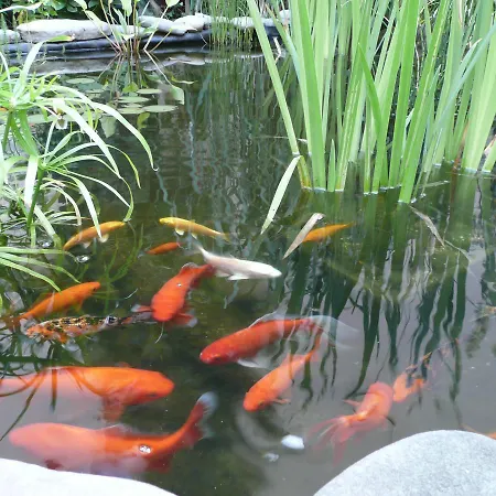 Exotic Apartment Ostrava