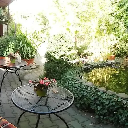Exotic Apartment