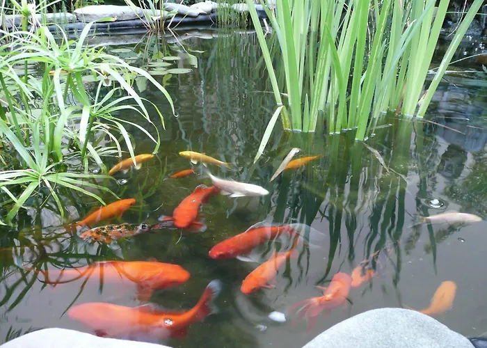 Exotic Apartment Ostrava